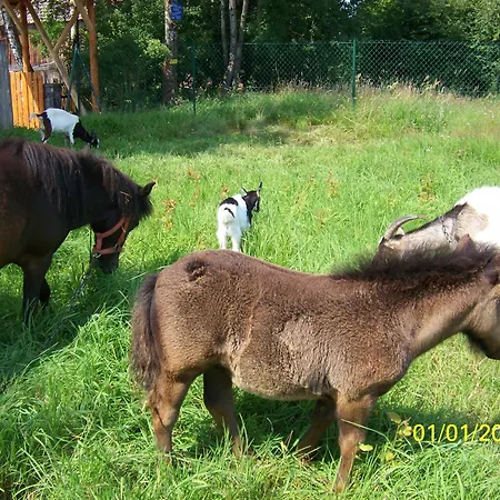Feriegård Pokoje I Domki Kaszubskie Chrosty Nowa Kiszewa