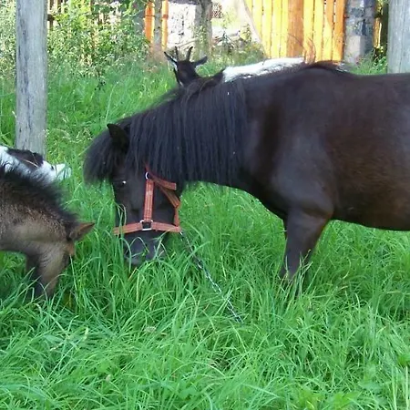 Pokoje I Domki Kaszubskie Chrosty * Nowa Kiszewa