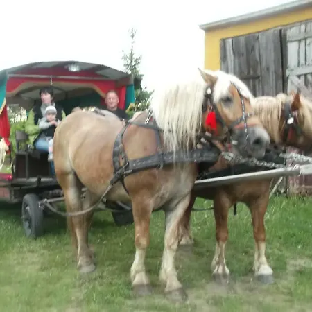 Pokoje I Domki Kaszubskie Chrosty *