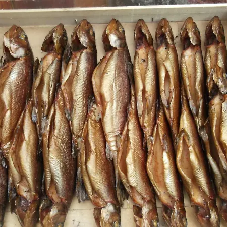 Pokoje I Domki Kaszubskie Chrosty *